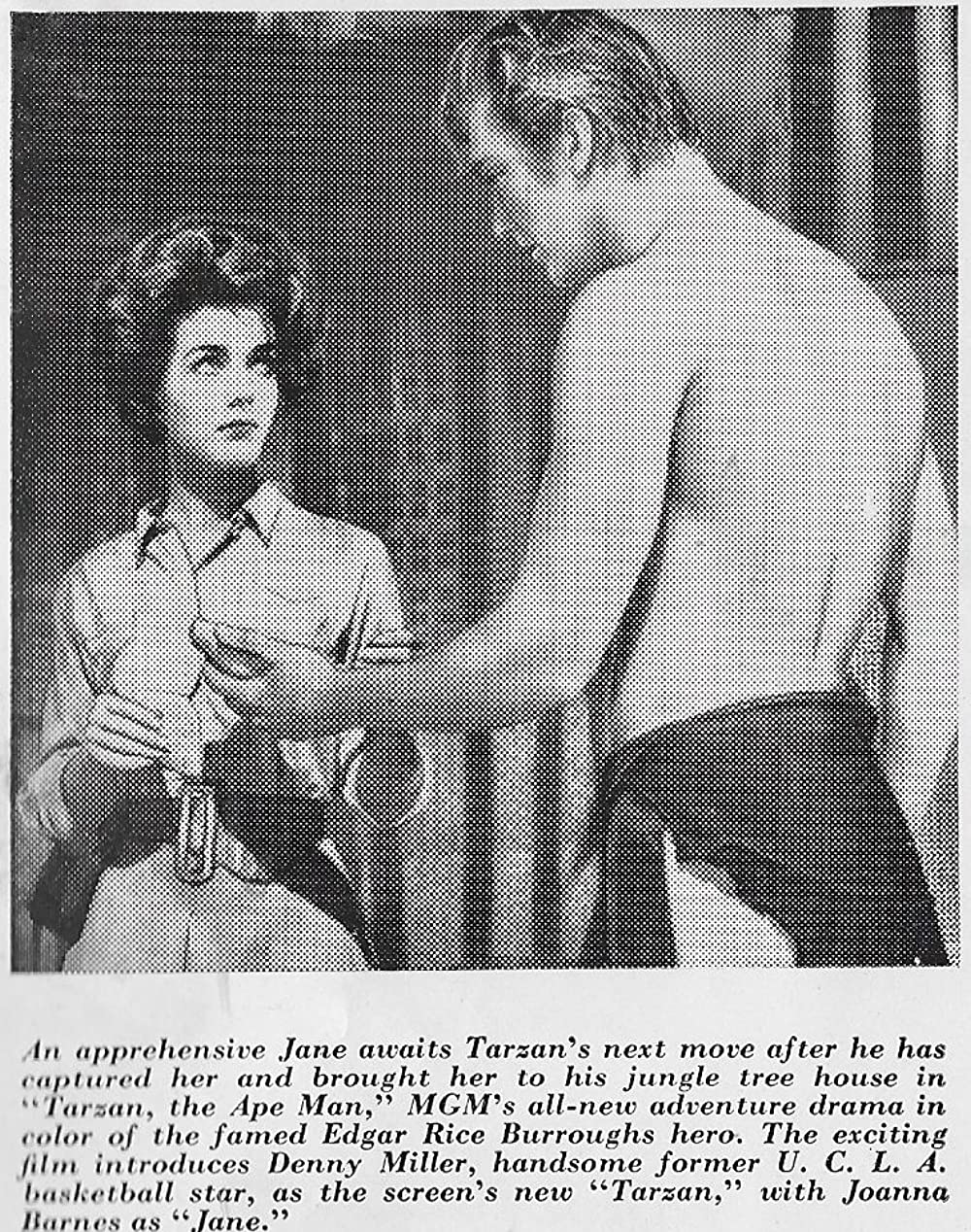 類猿人ターザンの画像