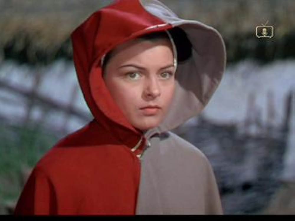 ロビン・フッドの画像