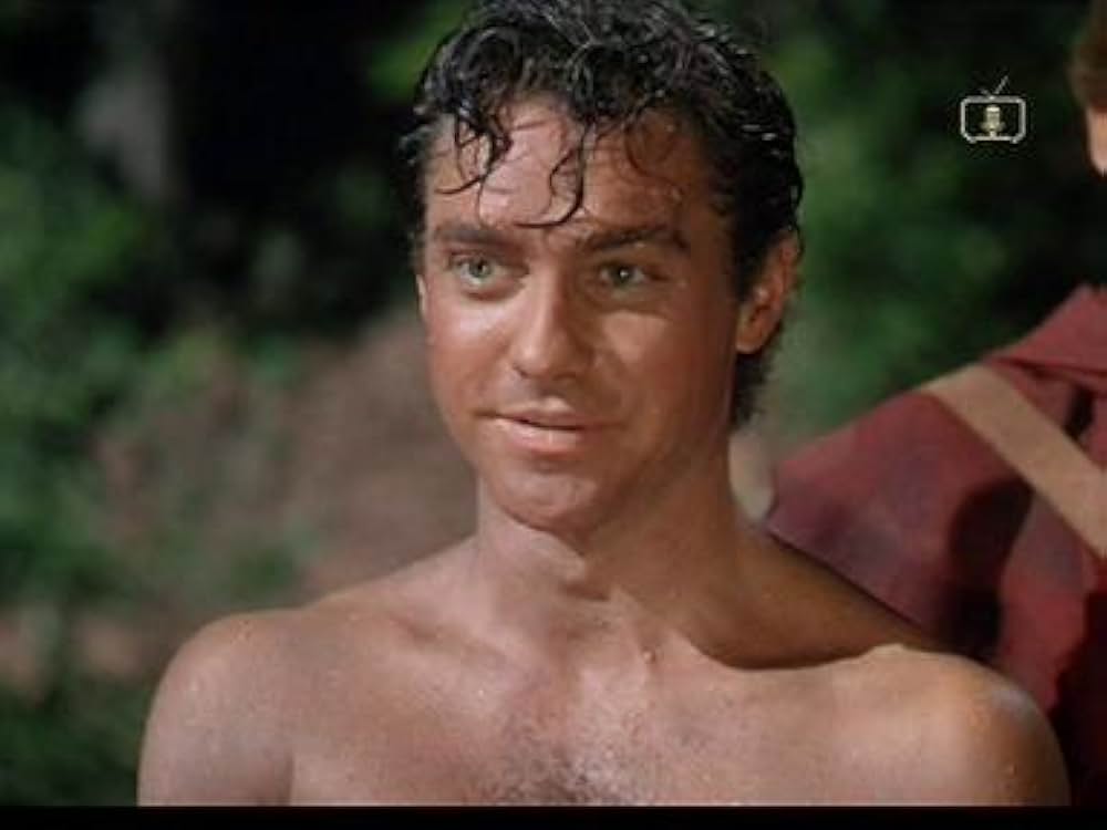 ロビン・フッドの画像