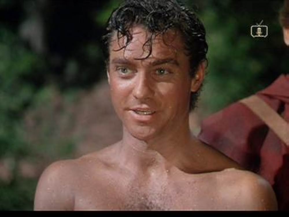 ロビン・フッドの画像