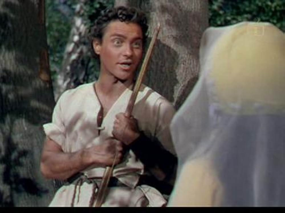 ロビン・フッドの画像