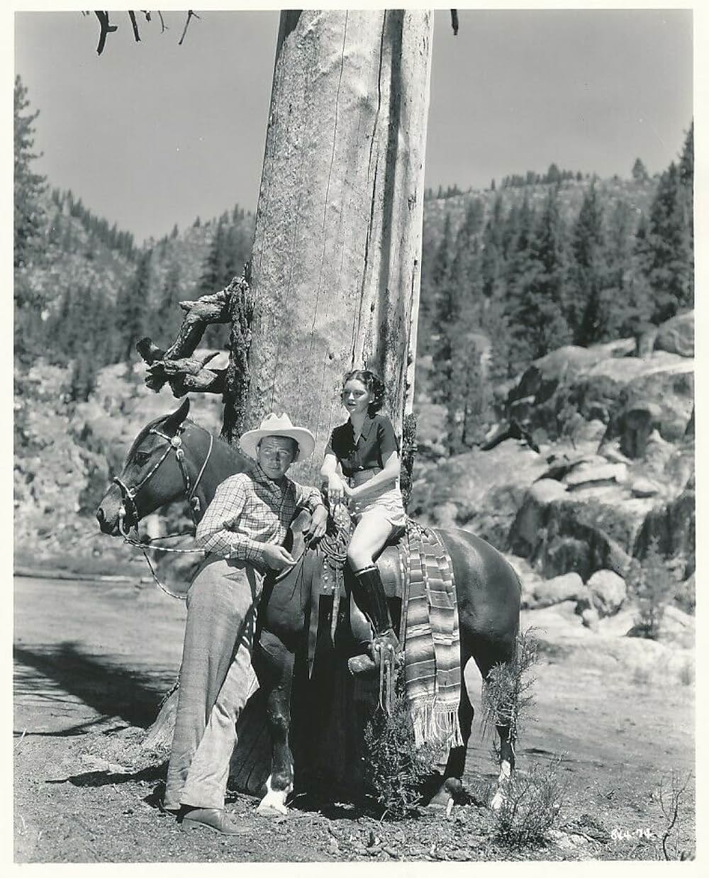 ロビン・フッドの復讐の画像