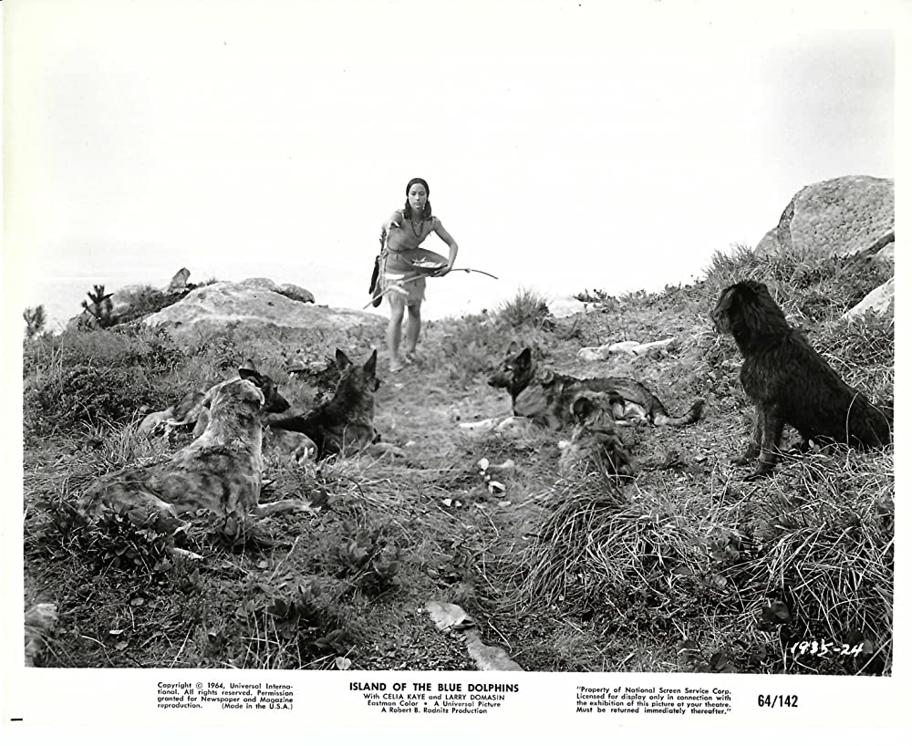 青いイルカの島の画像