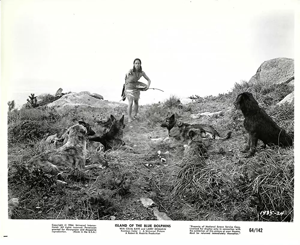 「青いイルカの島」セリア・ケイの画像