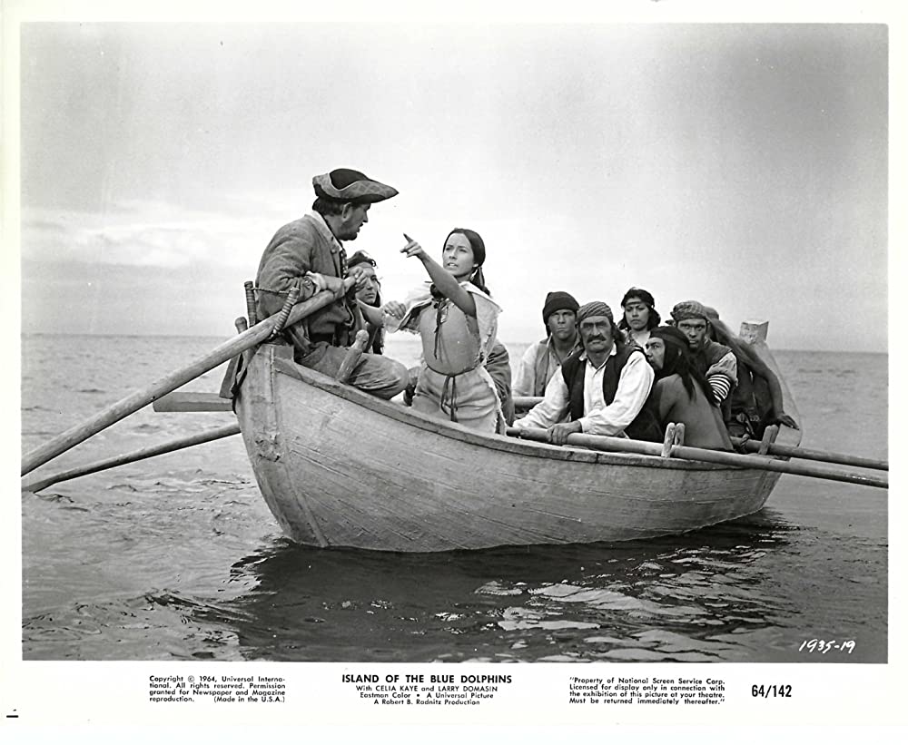 青いイルカの島の画像