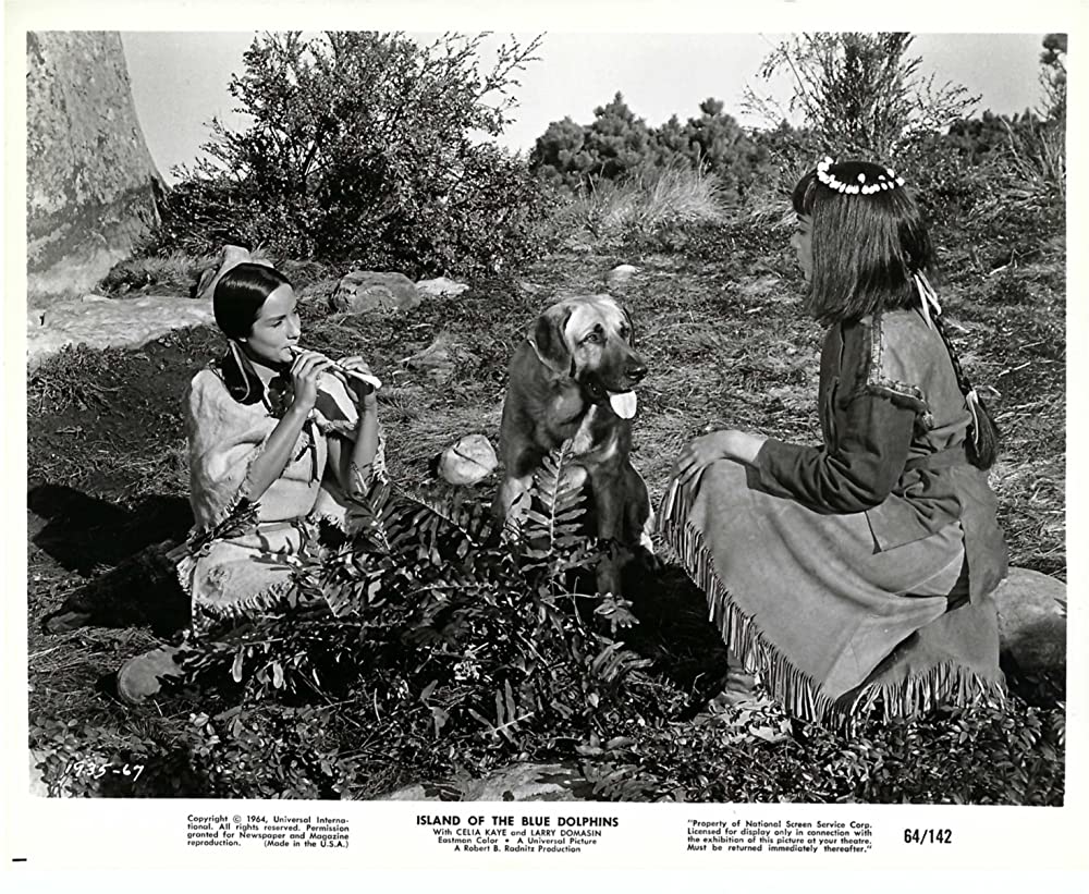 青いイルカの島の画像