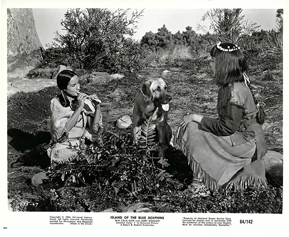 「青いイルカの島」セリア・ケイ & Ann Danielの画像