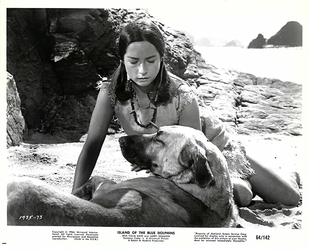 青いイルカの島の画像