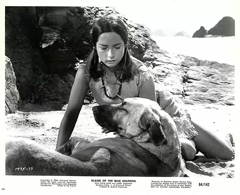 「青いイルカの島」セリア・ケイの画像