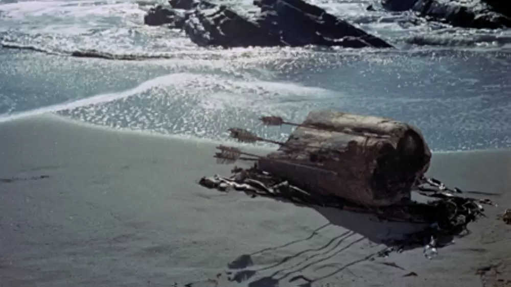 青いイルカの島の画像