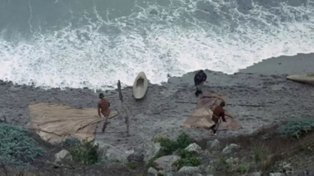 青いイルカの島の画像