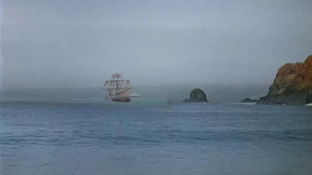 青いイルカの島の画像