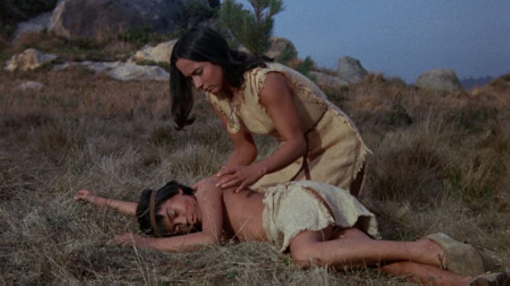 青いイルカの島の画像