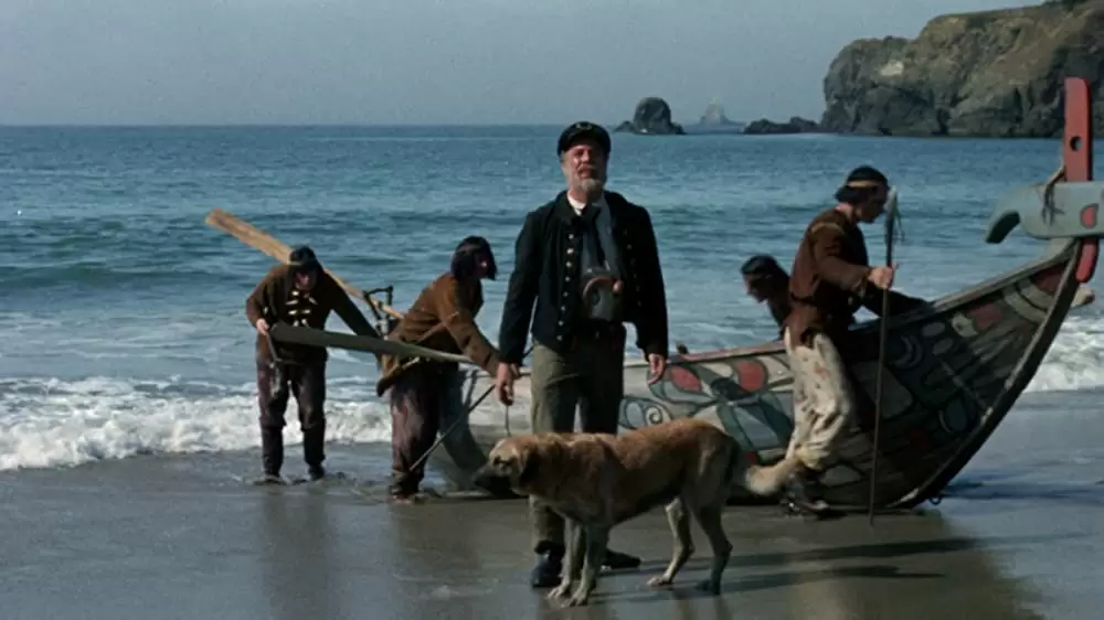 青いイルカの島の画像