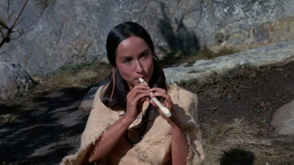 青いイルカの島の画像