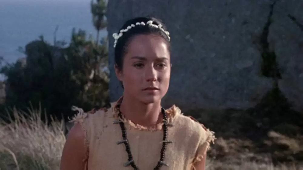 「青いイルカの島」セリア・ケイの画像