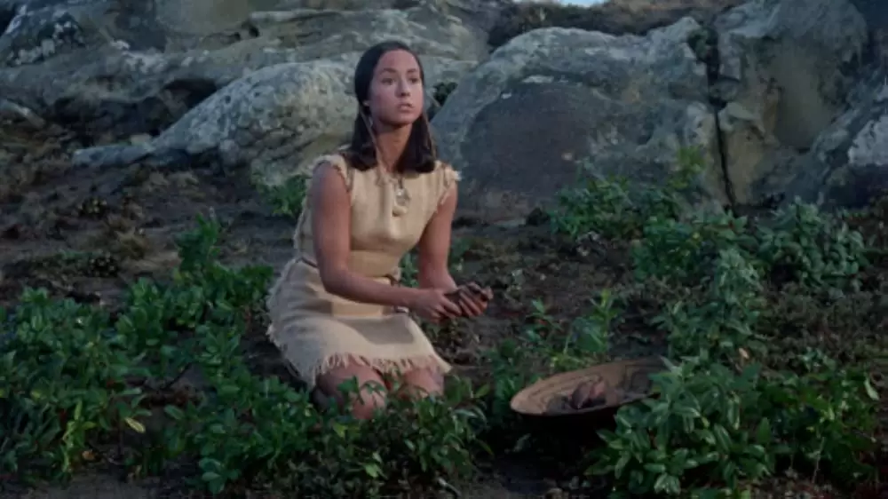 「青いイルカの島」セリア・ケイの画像