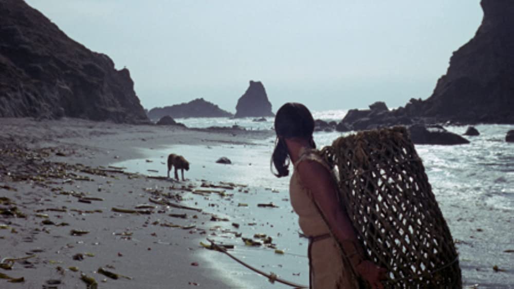 青いイルカの島の画像