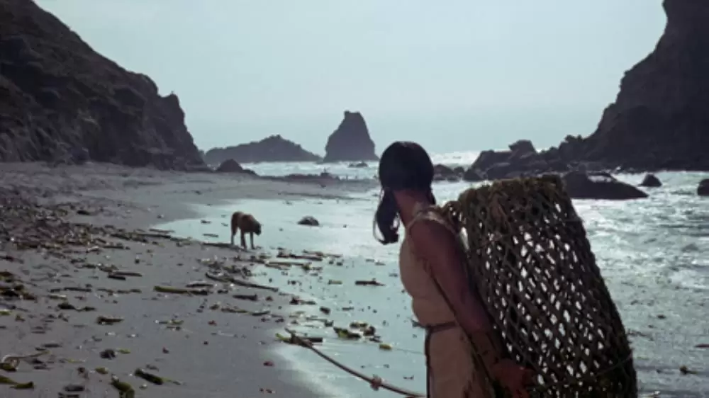 「青いイルカの島」セリア・ケイの画像