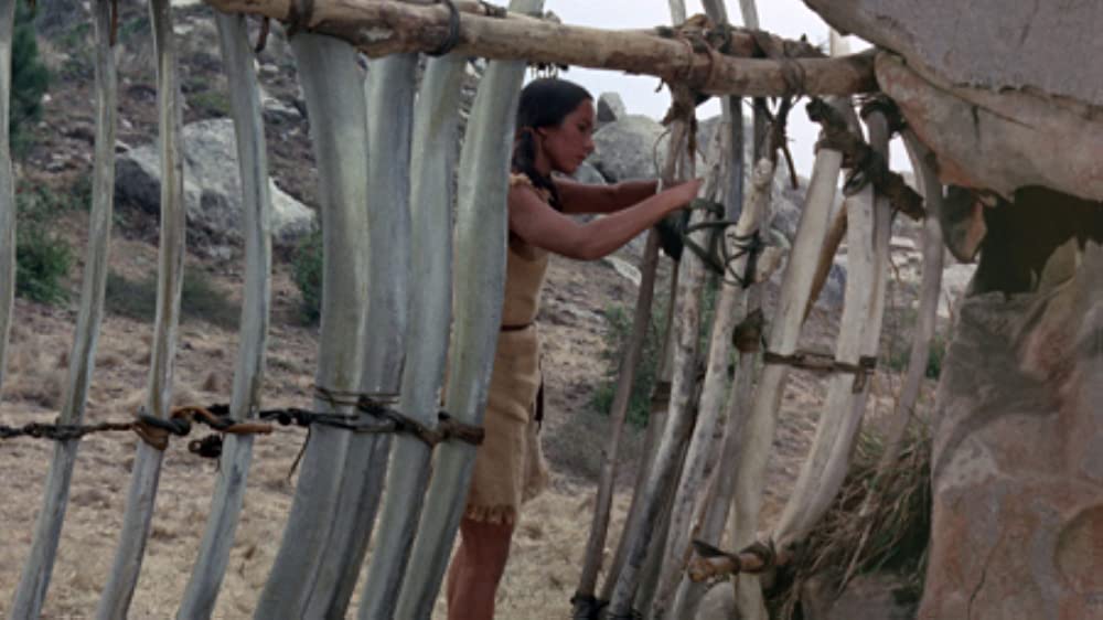 青いイルカの島の画像