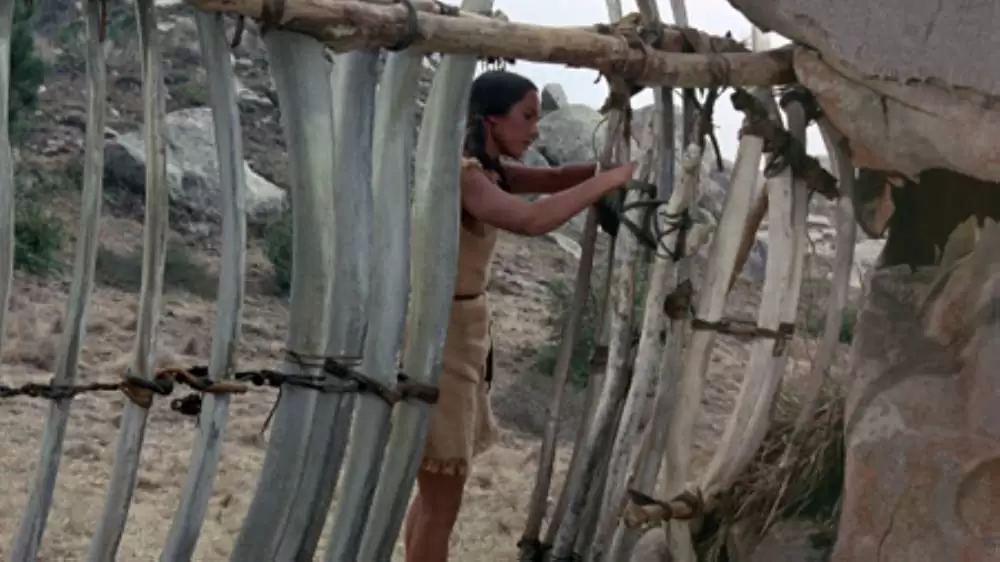 「青いイルカの島」セリア・ケイの画像