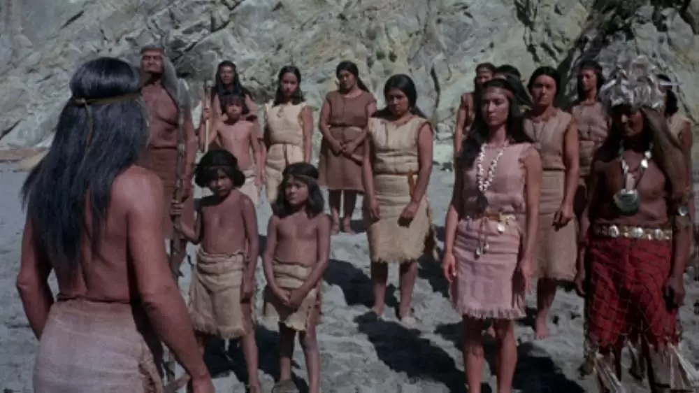 青いイルカの島の画像