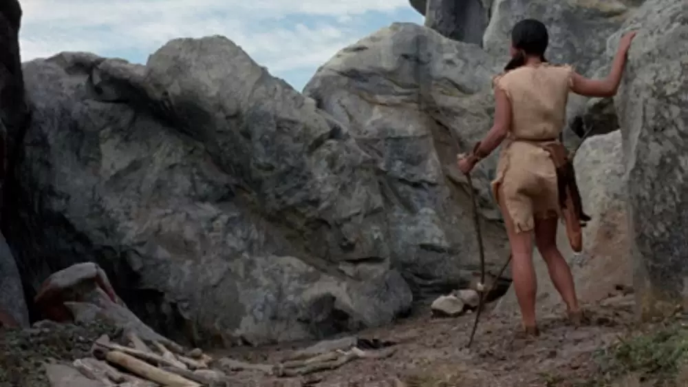 「青いイルカの島」セリア・ケイの画像