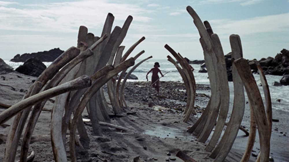 青いイルカの島の画像