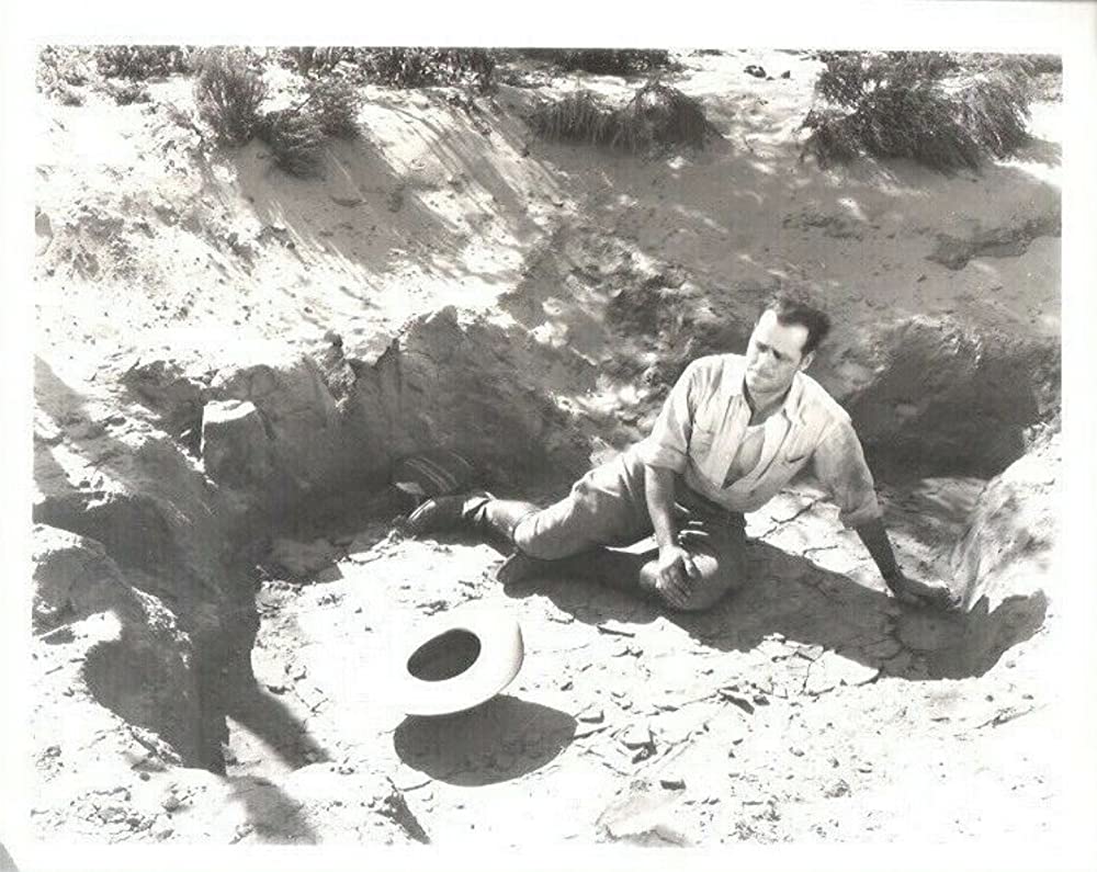 水盡く大地の画像