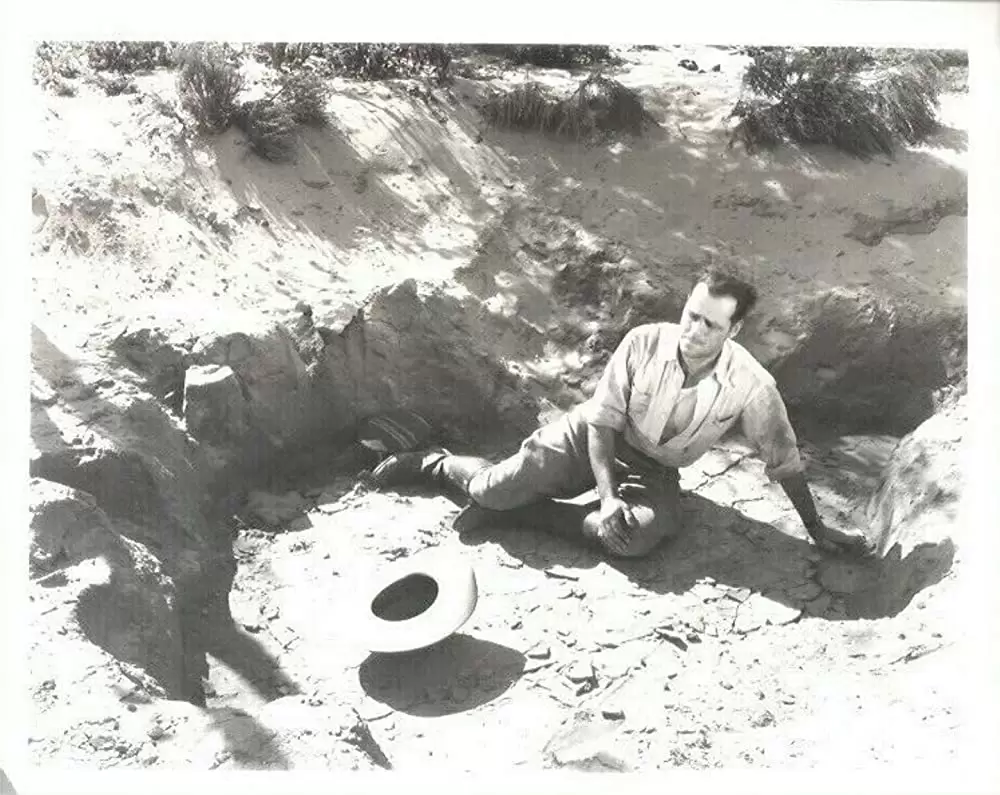 「水盡く大地」ジャック・ホルトの画像