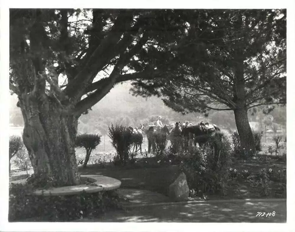 「水盡く大地」ナンシー・キャロルの画像