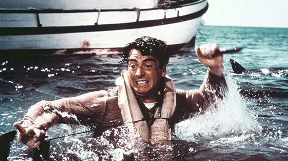 虎鮫作戦の画像