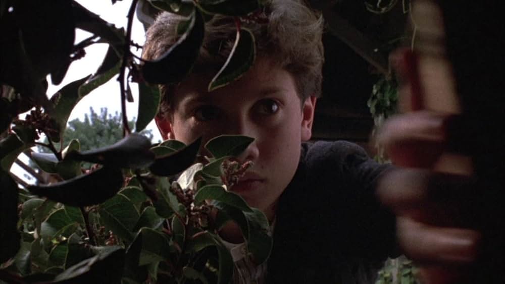 チルドレン・オブ・ザ・コーン３／都会の収穫／スティーブン・キング／アーバン・ハーベストの画像