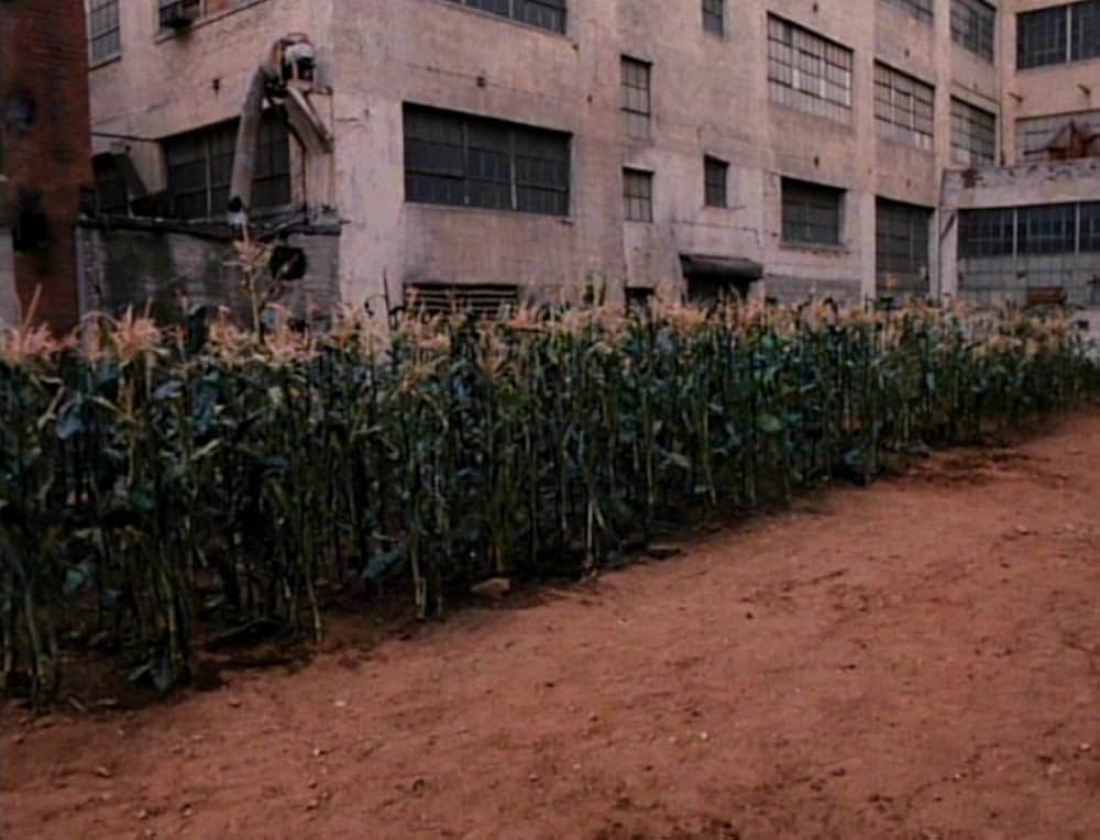 チルドレン・オブ・ザ・コーン３／都会の収穫／スティーブン・キング／アーバン・ハーベストの画像