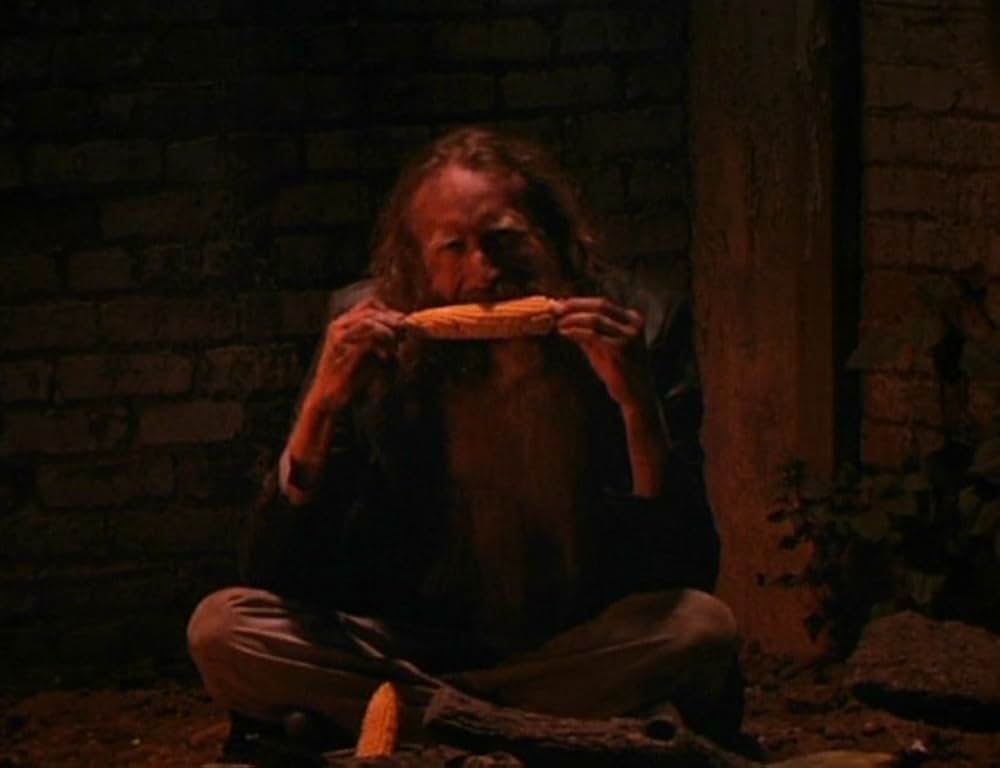 チルドレン・オブ・ザ・コーン３／都会の収穫／スティーブン・キング／アーバン・ハーベストの画像