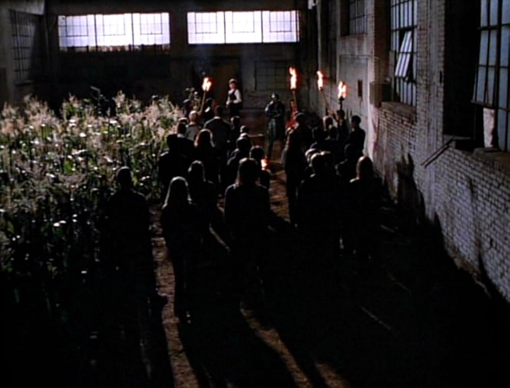 チルドレン・オブ・ザ・コーン３／都会の収穫／スティーブン・キング／アーバン・ハーベストの画像