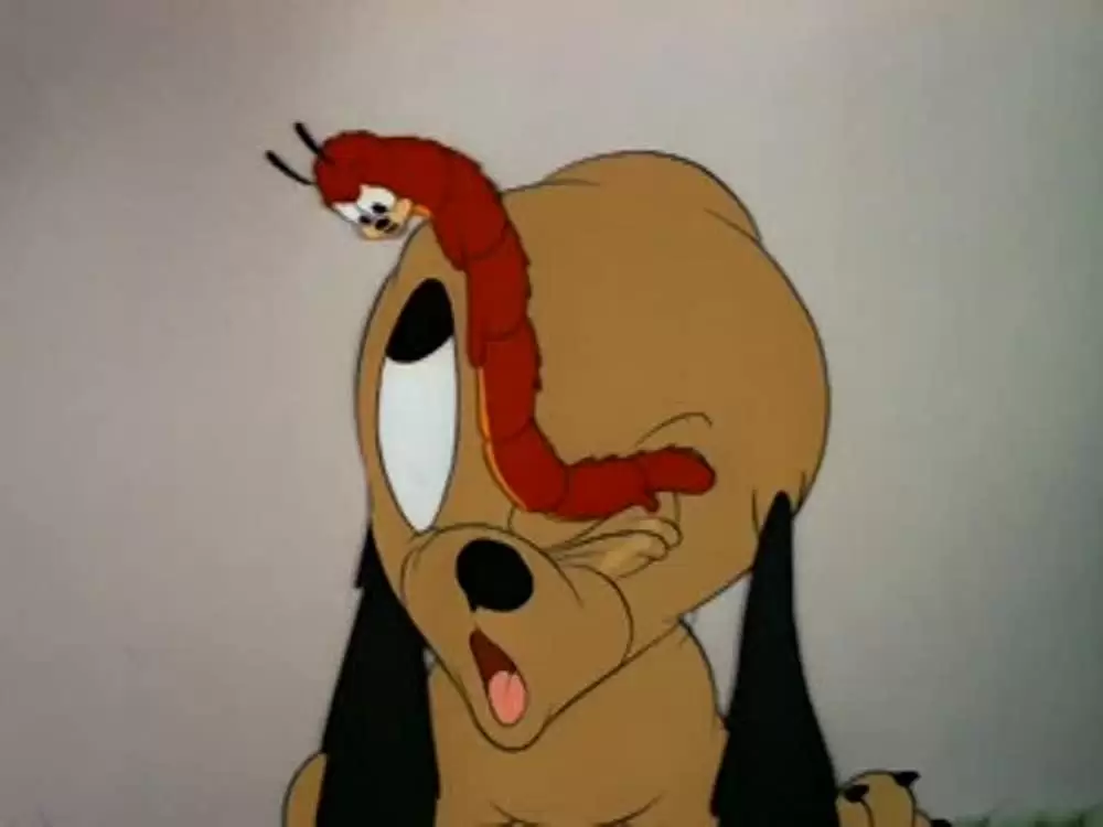 プルートのわんぱく坊やの画像