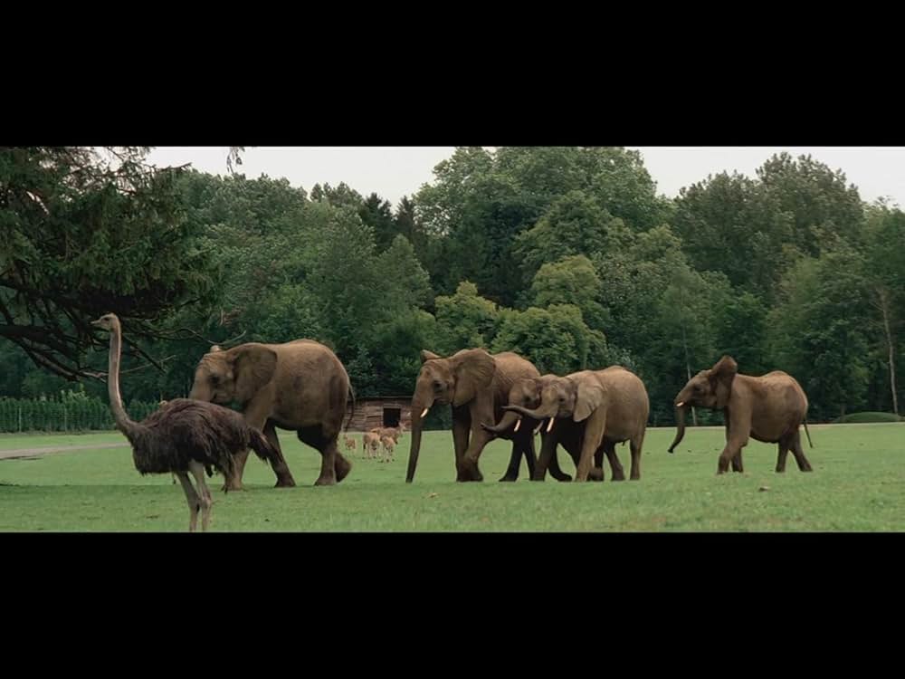 ムッシュとマドモアゼルの画像