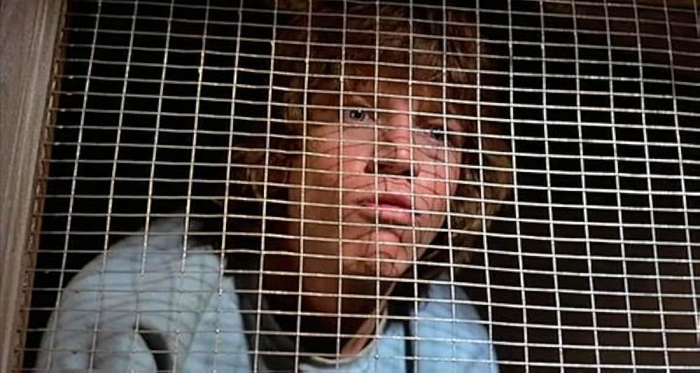 ドッキリボーイ2 ブギウギ大騒動の画像