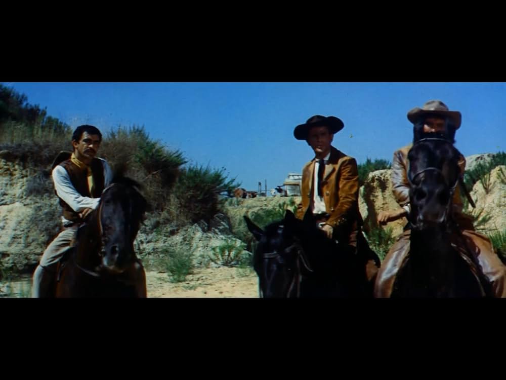 復讐の用心棒の画像