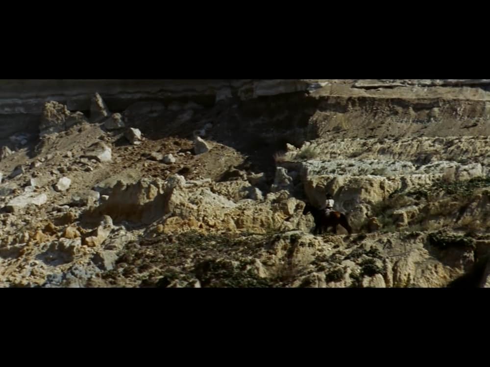 復讐の用心棒の画像