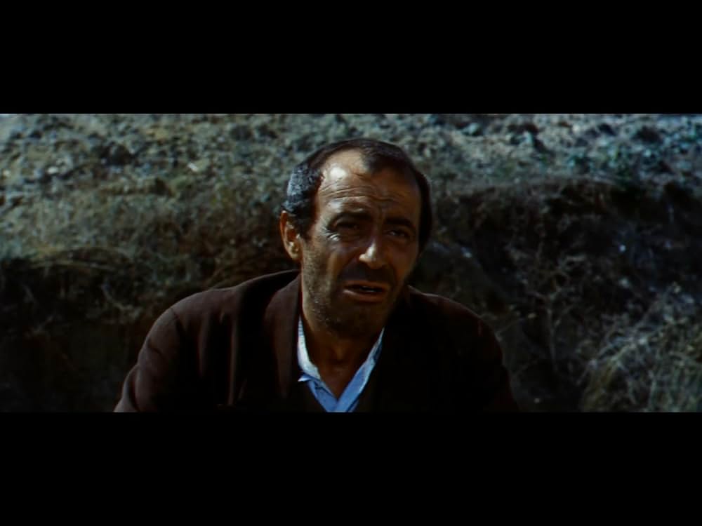 復讐の用心棒の画像