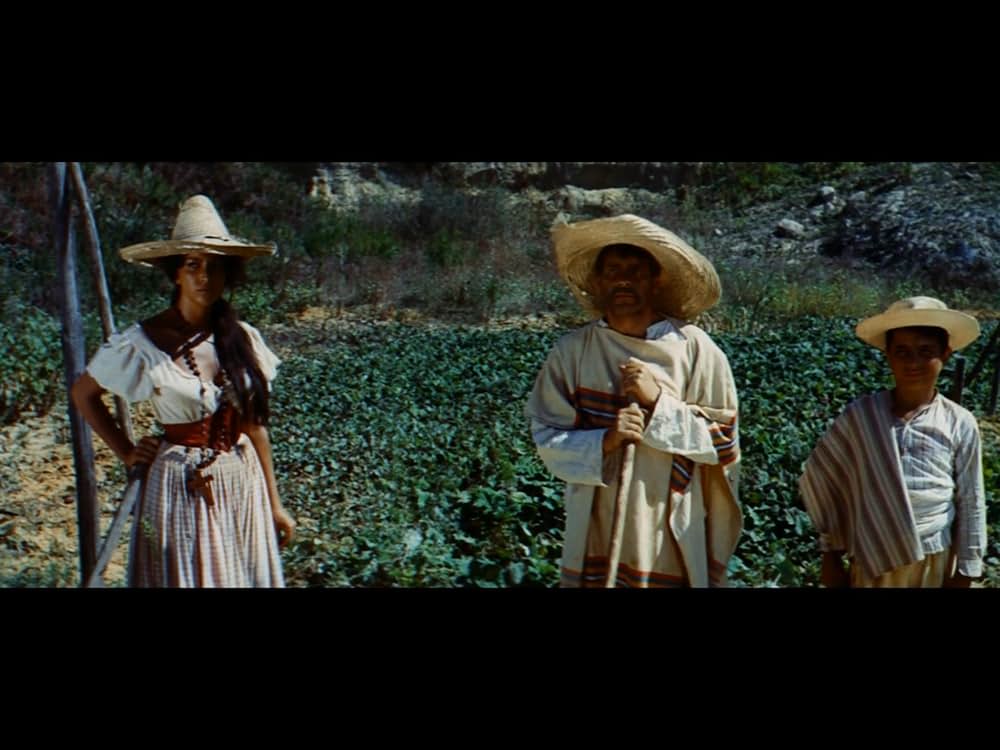 復讐の用心棒の画像