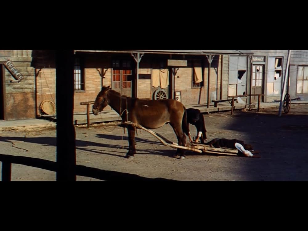 復讐の用心棒の画像