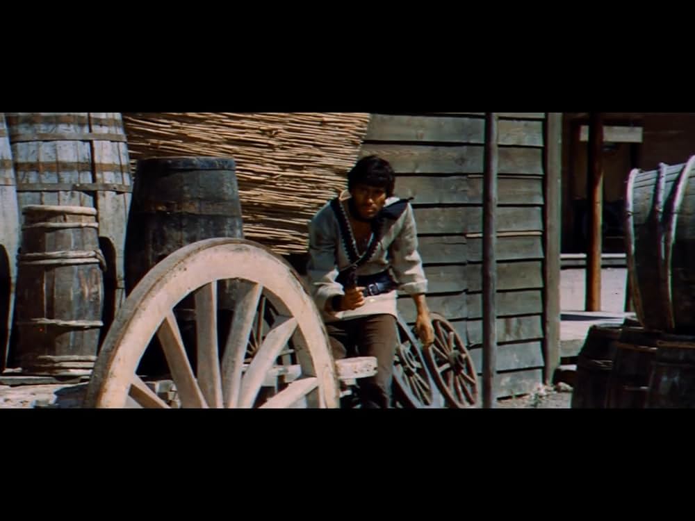 復讐の用心棒の画像