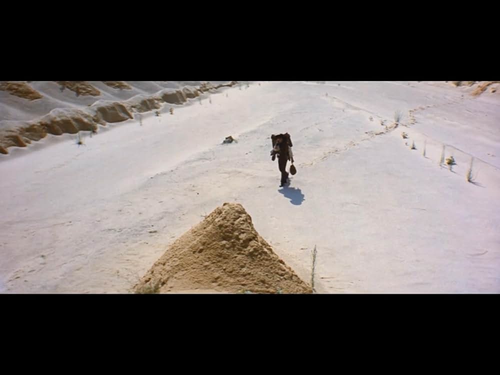 復讐の用心棒の画像