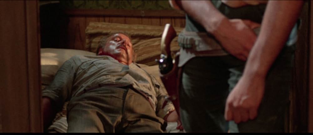 復讐の用心棒の画像