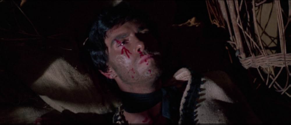 復讐の用心棒の画像