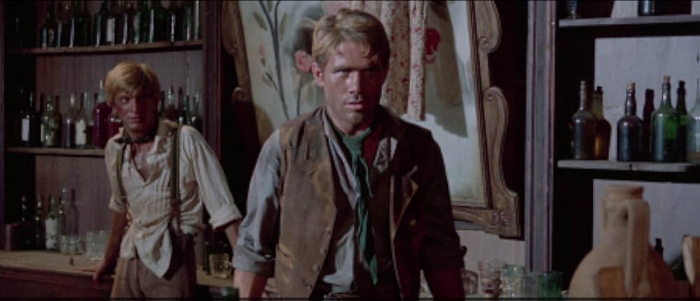 復讐の用心棒の画像