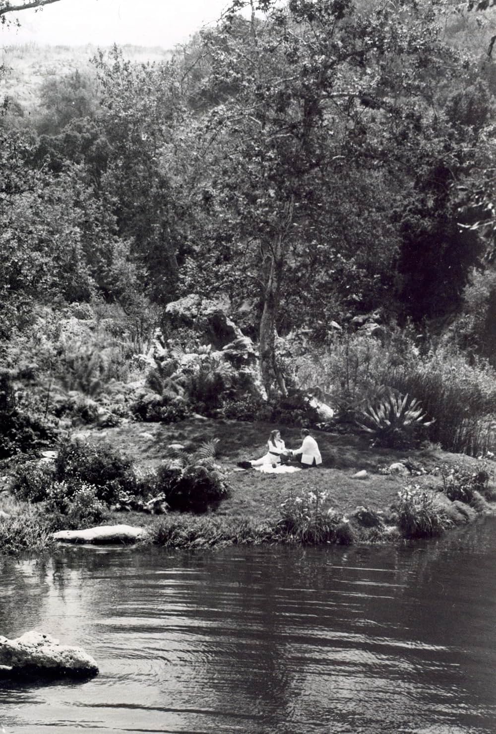 失われた地平線の画像